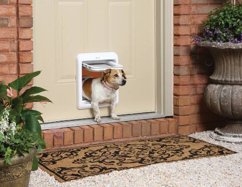 How to Make Your Pet Door Safer at Home