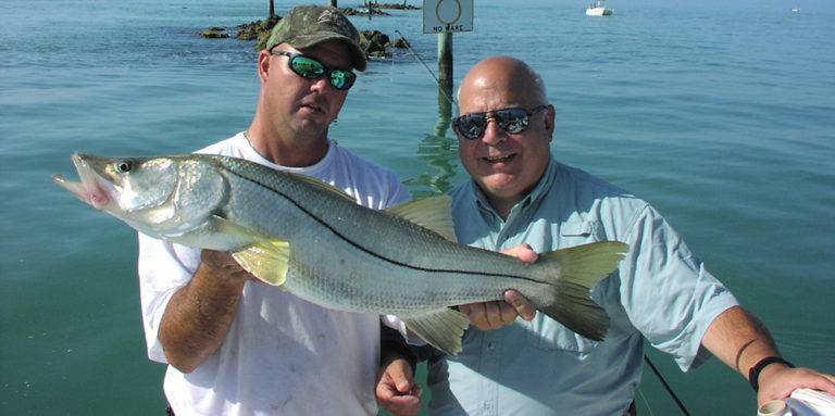 Key Facts about fishing charters Marco Island Florida