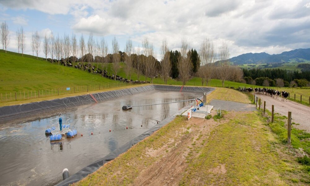 The Economic and Social Benefits of Effluent Pond Technology
