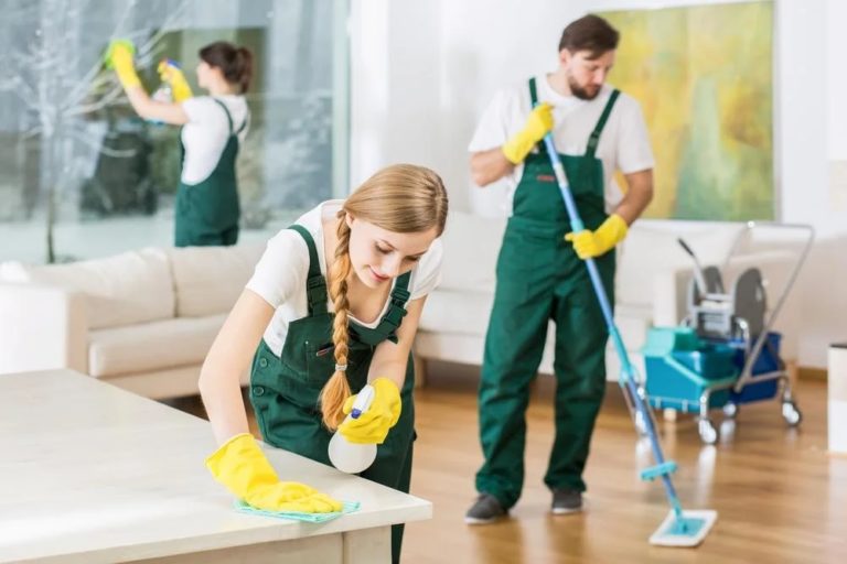 The Essential Guide to Bay Area Cleaning Services: keeping your space spotless and stress-free