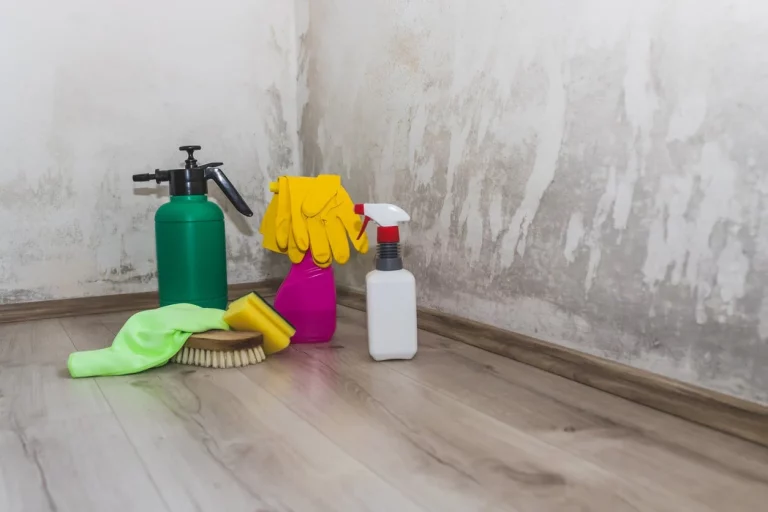 Banishing Mold: The Ultimate Guide to Effective Mold Removal