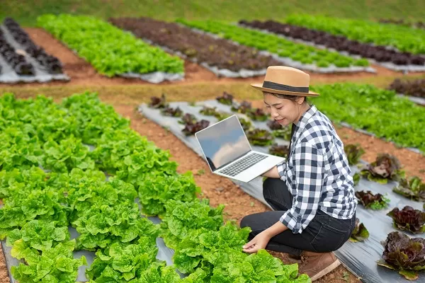 Modern Agriculture