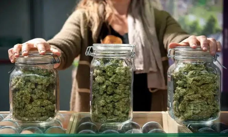 What wholesale buyers look for in bulk THCA flower?